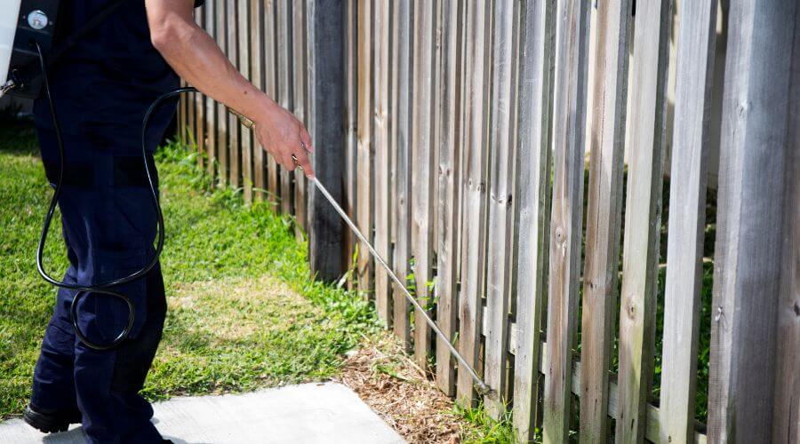Why choose Downtown Tempe Termite Inspection for termite inspection in Downtown Tempe
